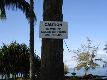 stress in Hilo